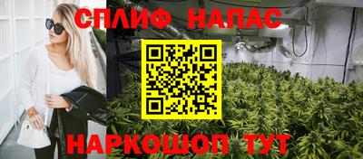 молекула духа Среднеуральск