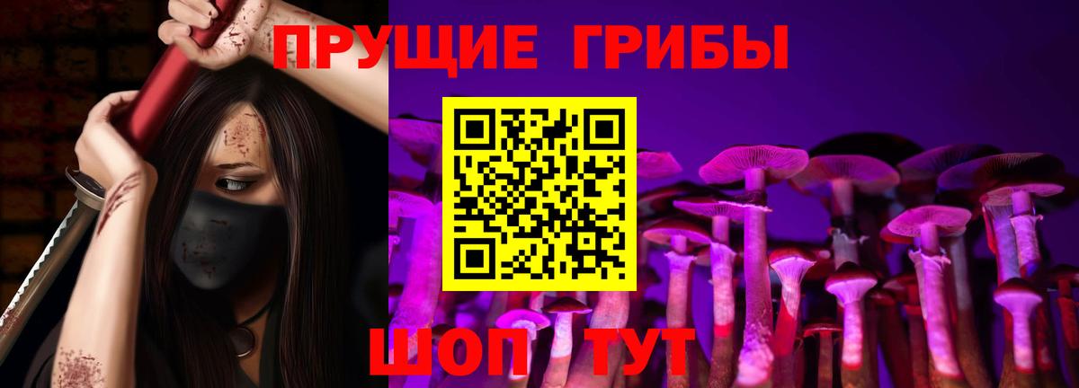 Галлюциногенные грибы Psilocybe Белореченск